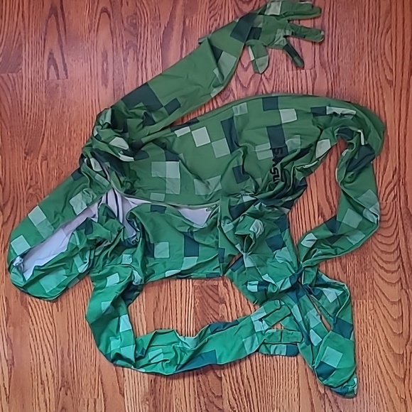 Halloween Costume - Picture 6 of 8